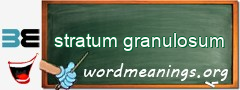 WordMeaning blackboard for stratum granulosum